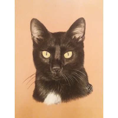     Retrato de 4 patas (apx A4)
