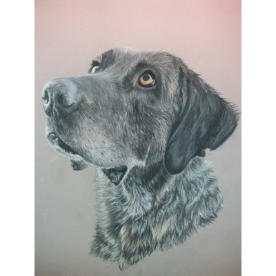     Retrato de 4 patas (apx A5)
