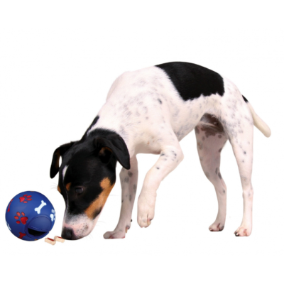 Snacky - Bola p/ Snacks (Cães Médios - 14cm)